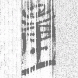上博简量书法图片