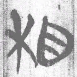 上博简相书法图片