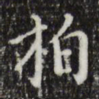 徐守和柏书法图片
