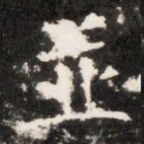 並书法图片