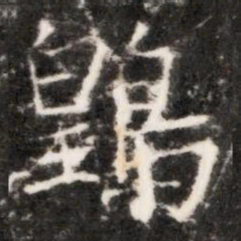 䳨书法图片