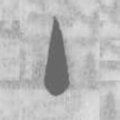 说文解字主书法图片