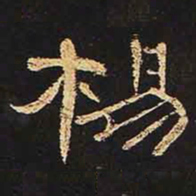 杨书法图片