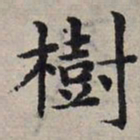 赵孟頫树书法图片
