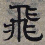 赵孟頫飞书法图片