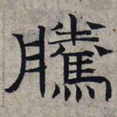 赵孟頫腾书法图片