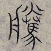 赵孟頫腾书法图片