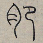 赵孟頫肥书法图片