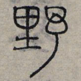 赵孟頫野书法图片