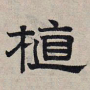 赵孟頫植书法图片