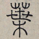 赵孟頫叶书法图片
