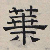 赵孟頫叶书法图片