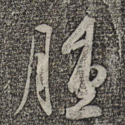王荟肿书法图片