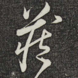 怀素藏书法图片