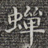 唐人蝉书法图片