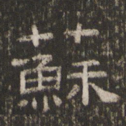 苏书法图片