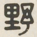 野书法图片