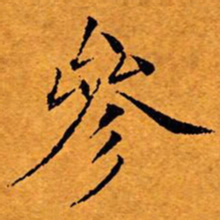 文征明参书法图片