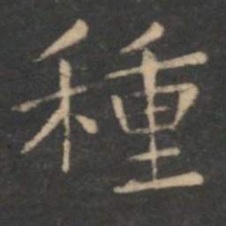 虞世南种书法图片