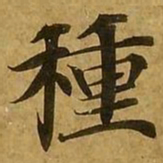 刘弘珪种书法图片