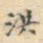 宋濓洪书法图片