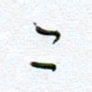 孙逢宾二书法图片