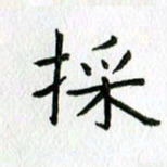 陈小宝采书法图片