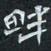 周擎畔书法图片