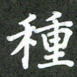 林佳燕种书法图片
