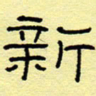 赵雅茹新书法图片