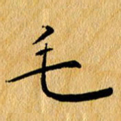 尚三波毛书法图片