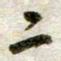 吴明哲二书法图片