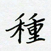 董川种书法图片
