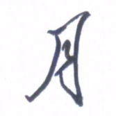 张毅君月书法图片