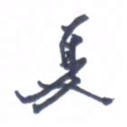 张毅君夏书法图片