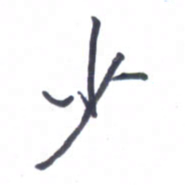 张毅君少书法图片
