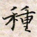 赵志伟种书法图片
