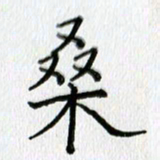 习娟桑书法图片