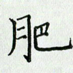 习娟肥书法图片