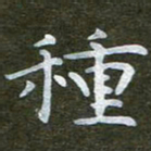 秦连柏种书法图片