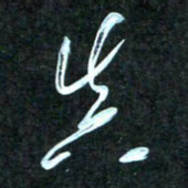 花爱军真书法图片