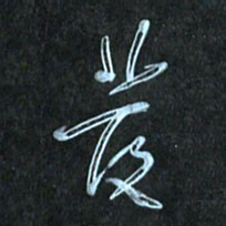 花爱军发书法图片