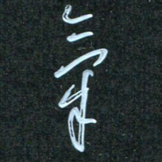 花爱军气书法图片