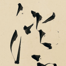 王铎淡书法图片