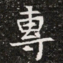 專书法图片