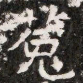 菟书法图片