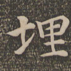 王蒙埋书法图片