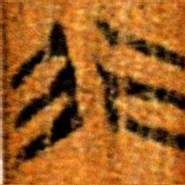 楚简行书法图片