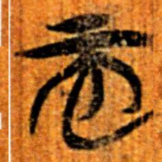 楚简而书法图片
