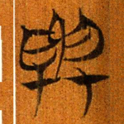楚简與书法图片